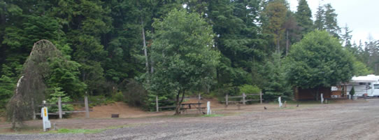 deluxe tent sites